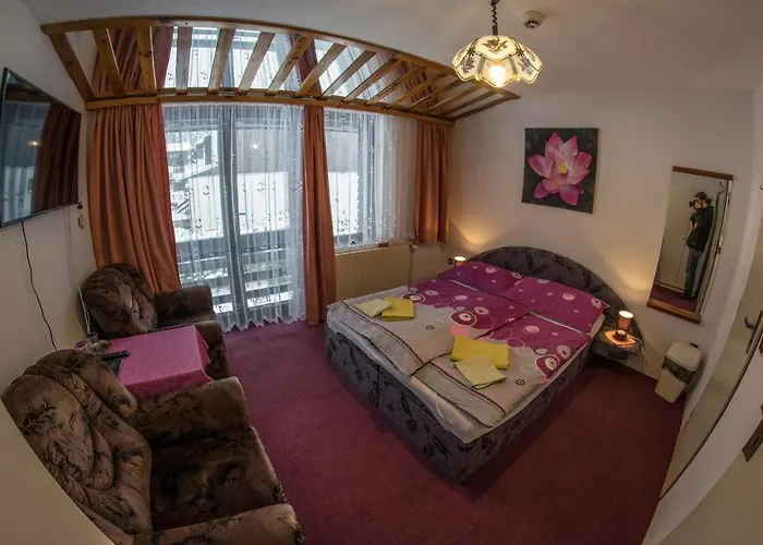 U Arnosta Sklare 3* Harrachov